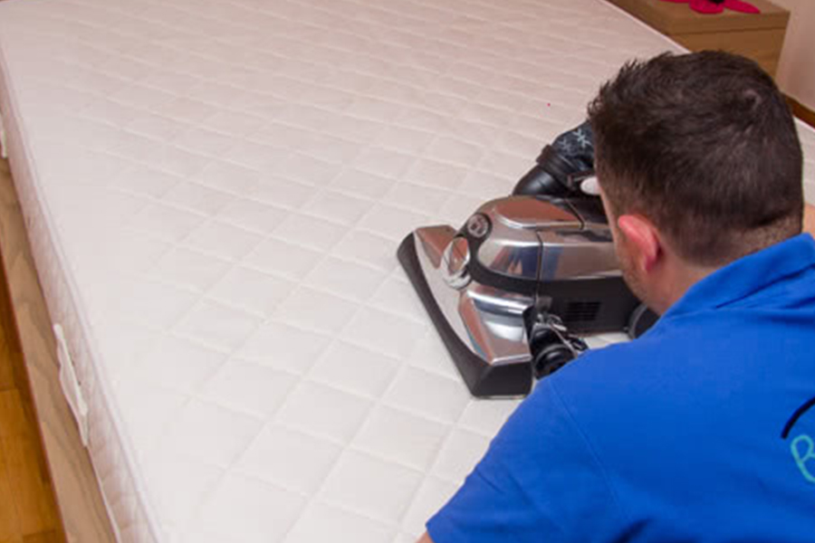 Bed-Bug-Control